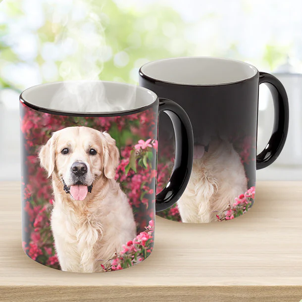 Black Colour-Changing Mug